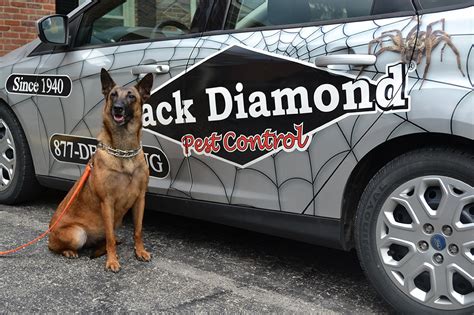 Black diamond pest control, is the indianapolis' choice for quality pest control services. Black Diamond Pest Control Franchise Costs and Franchise ...