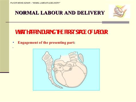 4 Normal Labour And Delivery