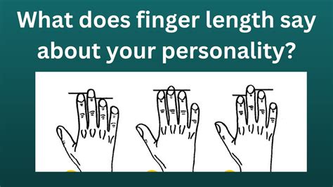 Personality Test Your Finger Length Reveals These Personality Traits Youtube