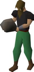 A pet rock is a members only item, and can be obtained from askeladden during and after the fremennik trials quest. Pet rock - OSRS Wiki