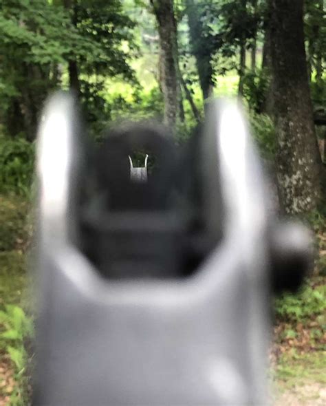 A Guide To Iron Sights Palmetto State Armory