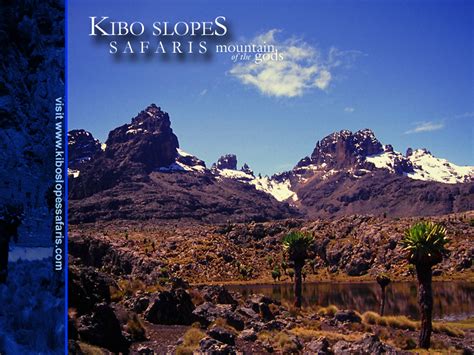 Kibo Slopes Safaris Ltd Nairobi