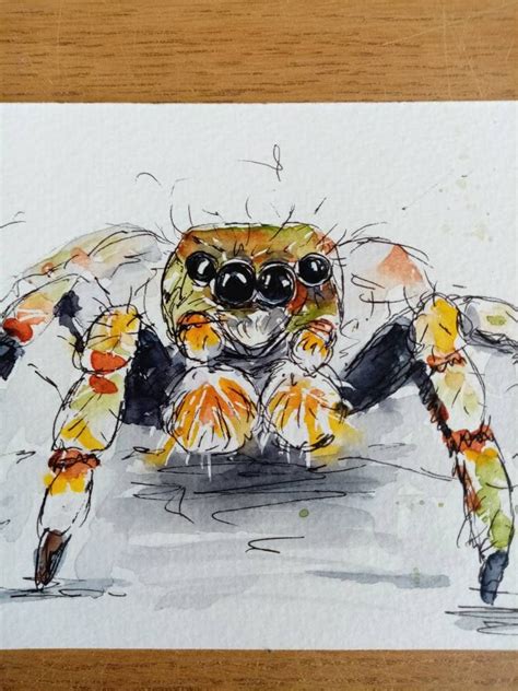 Spider Watercolour Illustration Original Pen Drawing Etsy Spider