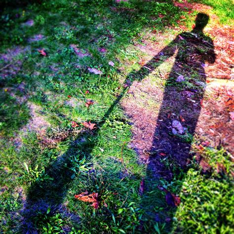 Airway Heights Library (Airway Heights, WA) | The Harmonica Pocket