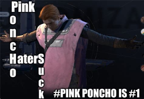 Pink Poncho Gang Rise From Your Grabbed Seat Rgrabsomeseat