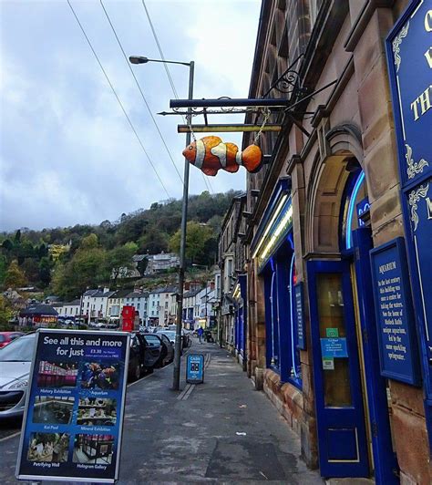 15 Best Things To Do In Matlock Bath Derbyshire England The Crazy