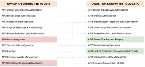 Insights Into The New Owasp Api Security Top 10 For Cisos Security