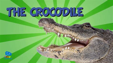 Silk was made by yuri vishnevsky, with music and sound crafted by mat jarvis. The Crocodile | Educational Video for Kids. - YouTube
