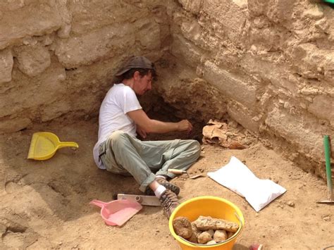 Archaeology Anthropology Ua Little Rock