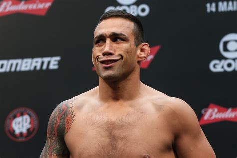 werdum will continue his career in mma