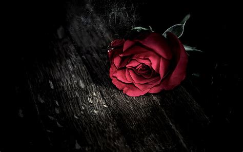Hd Wallpaper Dark Day Gothic Holidays Mood Roses Valentine 039 S