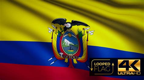 Ecuador Flag 4k Motion Graphics Videohive