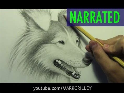 Realistic drawings art drawings realistic animal drawings animal sketches cool art pencil drawings of animals wolf drawing art animal drawing realistic eyes starts with understanding the structure of the dog's eyes and then breaking it down into simple shapes. How to Draw a Dog Narrated Step by Step - YouTube