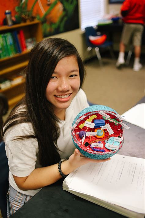 Allows certain substances to pass between the nucleus and the rest of the cell. 7th Grade Cell Project | Brook Hill School | Tyler, TX