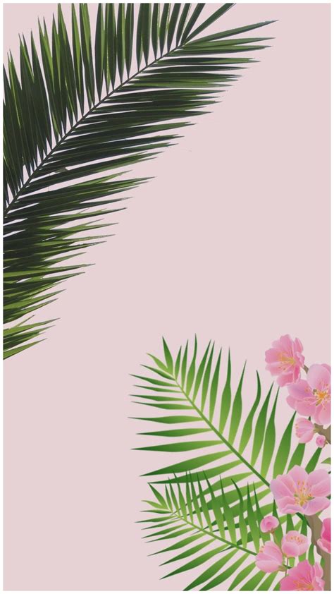 We have an extensive collection of amazing background images carefully chosen by our community. Aesthetic Palm Tree Phone Wallpapers - Top Free Aesthetic ...