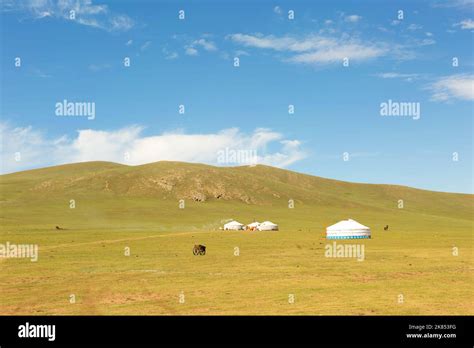 Mongolian Steppe Hi Res Stock Photography And Images Alamy