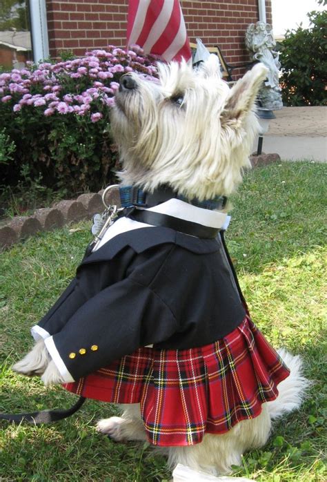 13 Pups Who Are So Scottish Their Blood Probably Runs