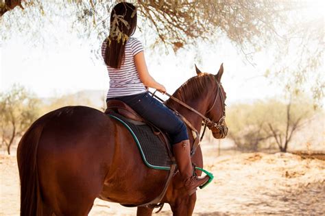 3 Of The Best Places To Go Horseback Riding In Santa Fe Four Kachinas Inn
