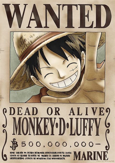 One Piece Wanted Poster Clear My Xxx Hot Girl
