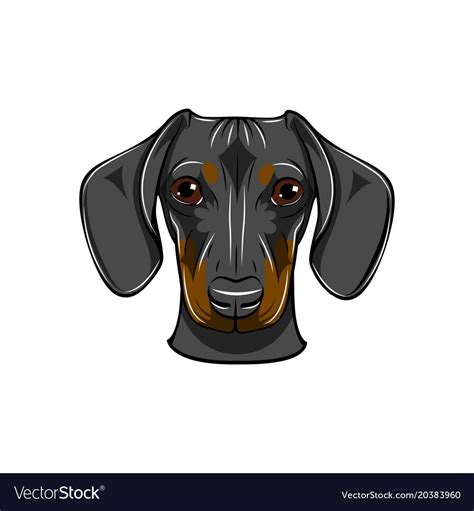 Funny Cartoon Dachshund Dog Head Vector Illustration Isolated On White