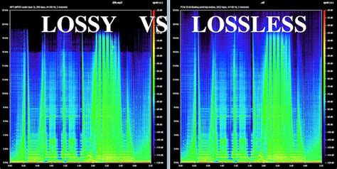 Understanding The Difference Between Lossless And Lossy Audio Files