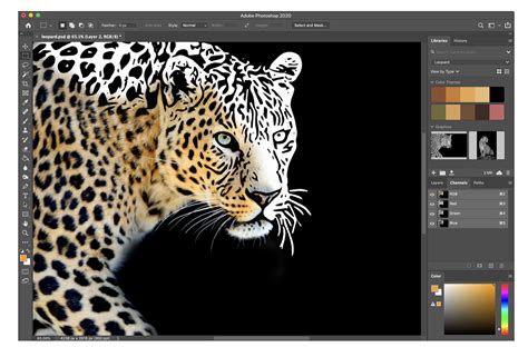 🎨 Adobe Announces New Ai Tools To Make Your Artistic Life Easier