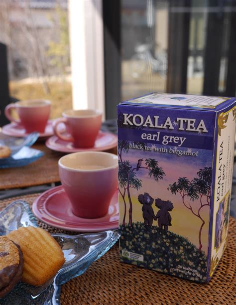 Koala Tea Vivi Tea