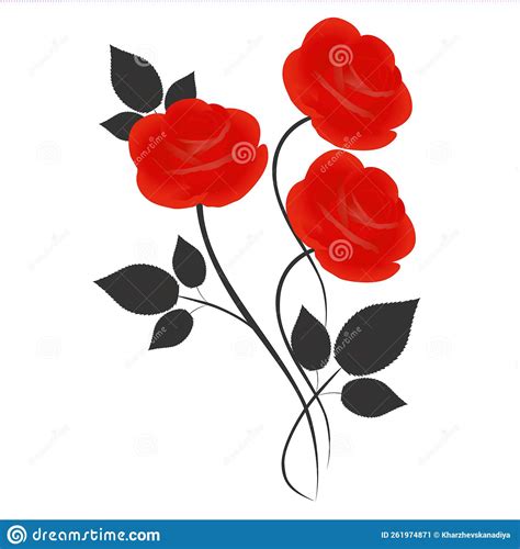 Bouquet Of Red Roses With Black Leaves On A White Background Stock
