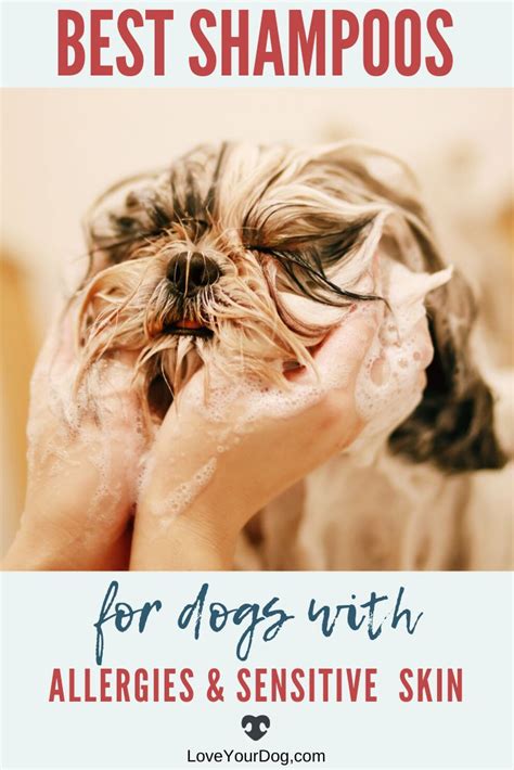 Best Shampoos For Dogs With Allergies And Sensitive Skin 2020 Reviews
