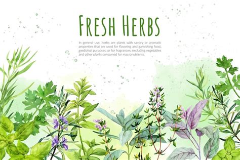 Details 200 Herbs Background Images Abzlocal Mx