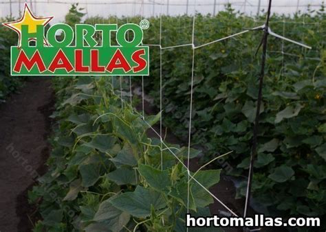 Trellis Net Hortomallas™ Supporting Your Crops®
