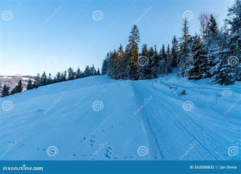 Snow Covered Trail With Frozen Trees And Clear Sky In Winter Beskid