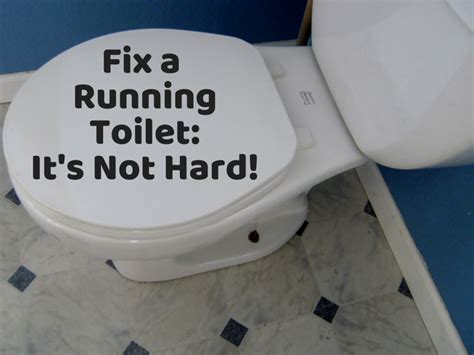 Toilet Repair How To Fix A Leaking Or Running Toilet Dengarden