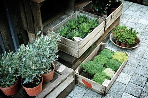 Planter Box Pengertian Dan Langkah Pembuatannya