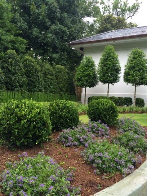 Discover your landscaping options in baton rouge. Makaira Landscape: TSG Baton Rouge Volume 2 Sneak Peek ...