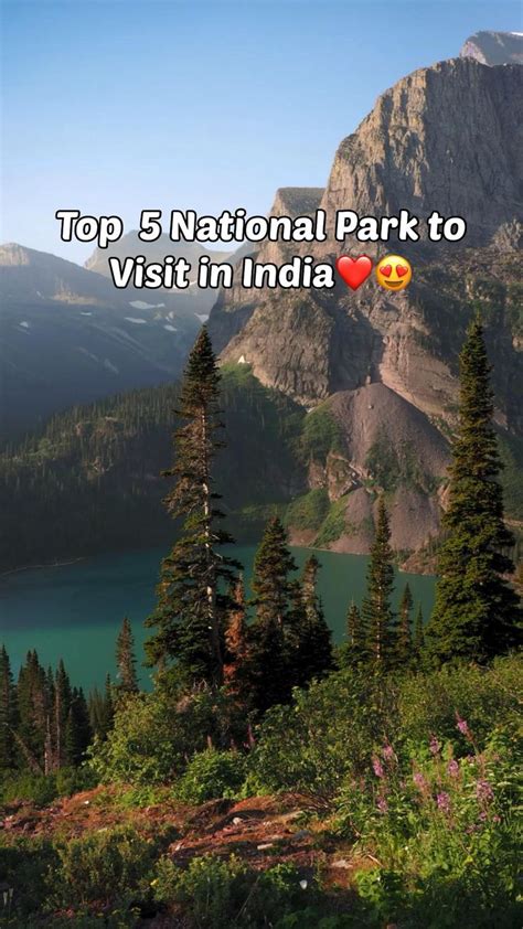 Top 5 National Park To Visit In India ️😍🇮🇳 Lindas Paisagens