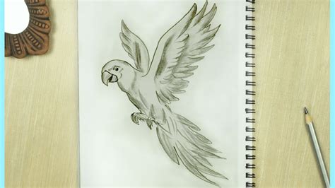 Parrot Drawing How To Draw A Parrot Flying Bird Sketch Parrot
