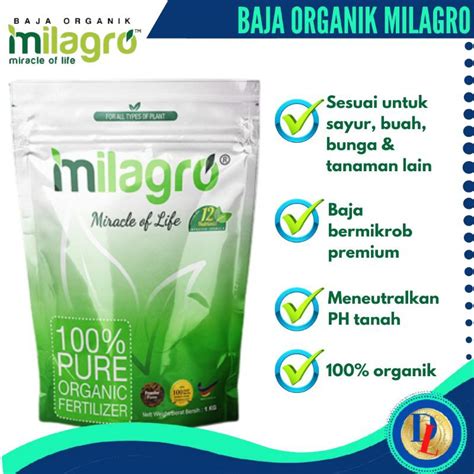 Pokok cili ini mempunyai kadar pertumbuhannya singkat, sekitar 6 bulan di dalam pasu atau polibag. MILAGRO Baja Organik 100% Organic Untuk Pokok Bunga Sayur ...