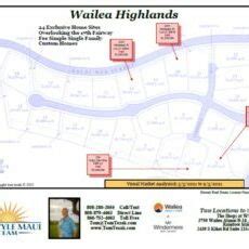 Wailea Highlands Map Visual Market Analysis Tom Tezak Maui Realtor