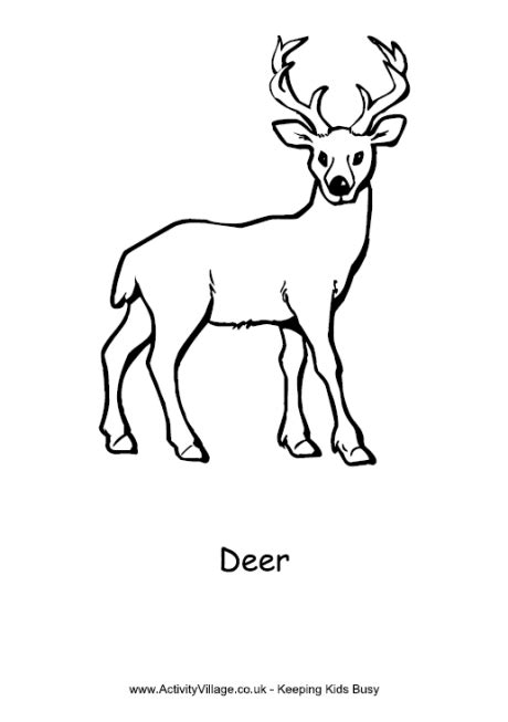 Puppy, dog, wolf, kitten, unicorn, coloring pages for kids, my little pony, paw patrol. Deer Colouring Page