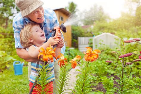 How To Properly Water Your Garden With Water Systems Home Water Systems For Your Garden