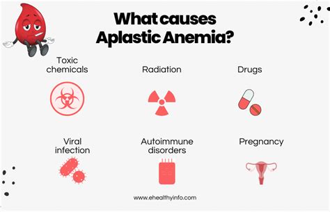 Aplastic Anemia E Healthy Info