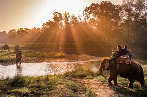 Chitwan Jungle Safari Tour Safari Tour Tour Packages Trip