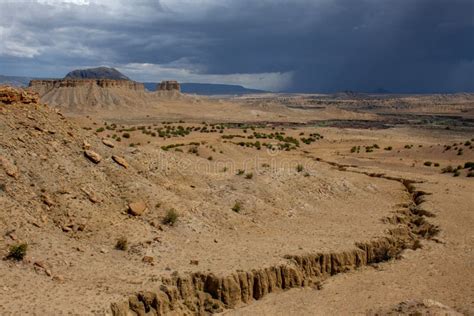 Storm Clouds Approaching Over The New Mexico Desert In The Chamisa