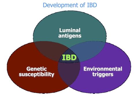 What Causes Inflammatory Bowel Diseases Ibd Unc Multidisciplinary Center For Ibd