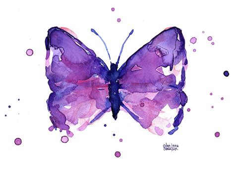 Abstract Purple Butterfly Watercolor Painting By Olga Shvartsur Fine