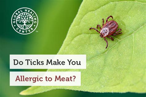 Lone Star Ticks Trigger Allergic Reactions To Meat Dr Eddy Bettermann Md