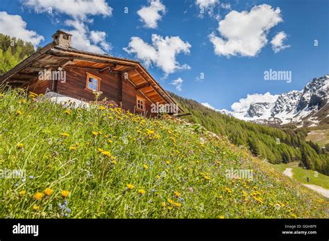 Geography Travel Italy South Tyrol Alpine Hut And Mountain Meadow