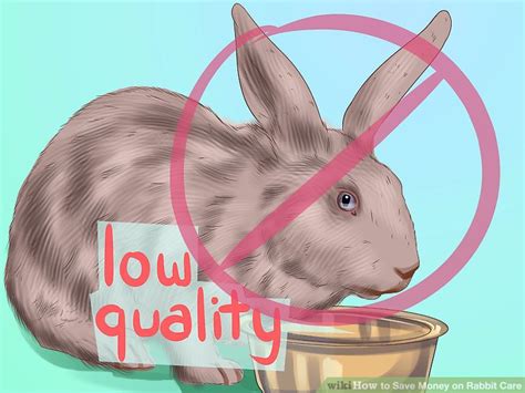 3 Ways To Save Money On Rabbit Care Wikihow