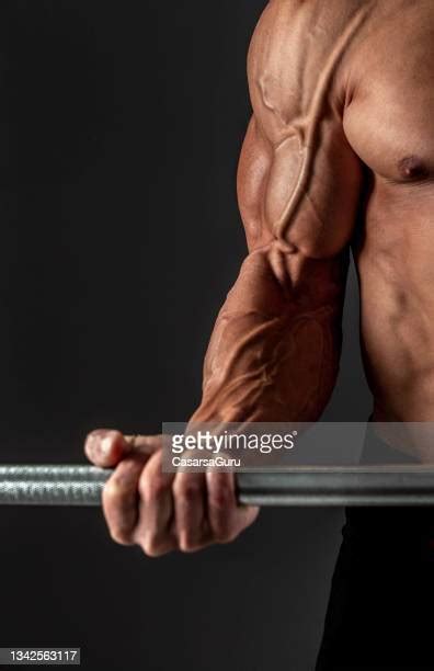 Vascular Bodybuilder Photos And Premium High Res Pictures Getty Images